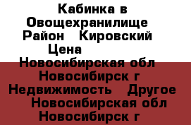 Кабинка в Овощехранилище › Район ­ Кировский › Цена ­ 50 000 - Новосибирская обл., Новосибирск г. Недвижимость » Другое   . Новосибирская обл.,Новосибирск г.